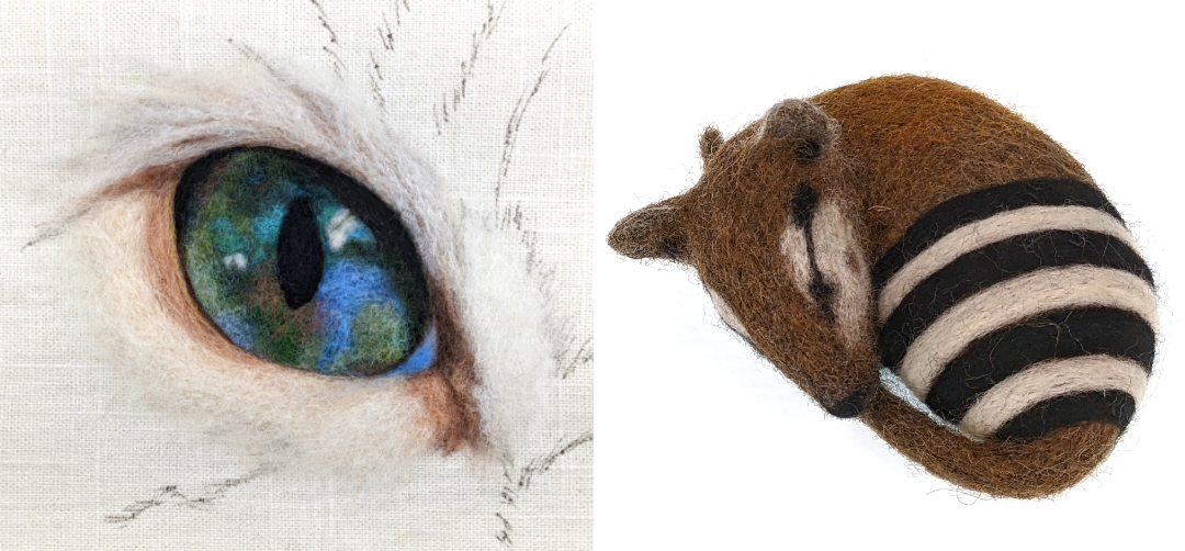 2D cat eye and 3d sleeping baby numbat