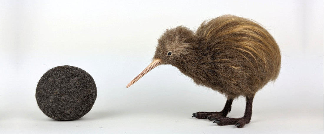 I made a Kiwi bird out of a dryer ball