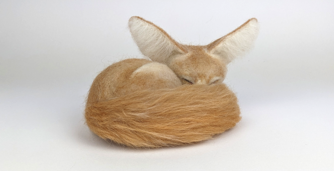 Make an adorable sleeping Fennec Fox